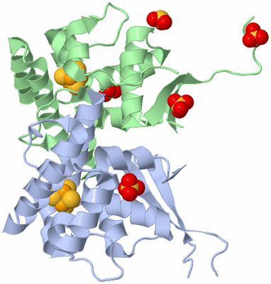 Image Biological Unit 2