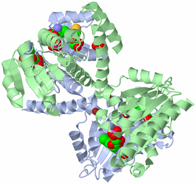 Image Asym./Biol. Unit