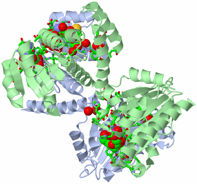 Image Asym./Biol. Unit - sites