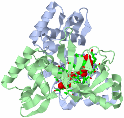 Image Asym./Biol. Unit - sites