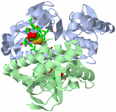 Image Asym./Biol. Unit - sites