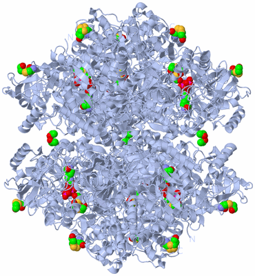 Image Biological Unit 1