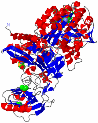 Image Asym. Unit - sites