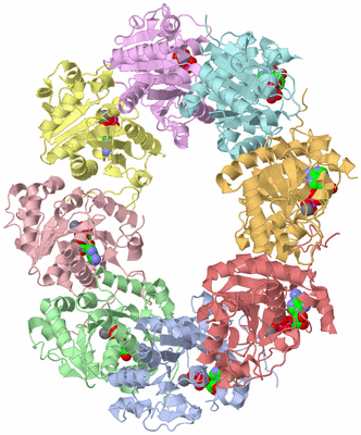 Image Biological Unit 1