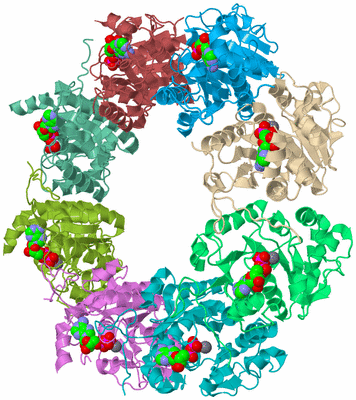 Image Biological Unit 2