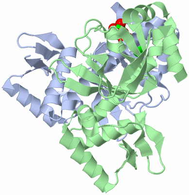 Image Asym./Biol. Unit