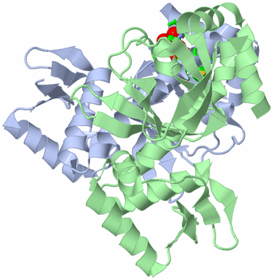 Image Asym./Biol. Unit - sites