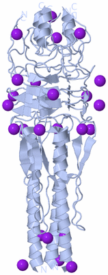 Image Biological Unit 1