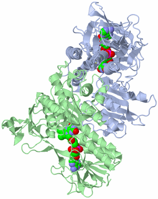 Image Asym./Biol. Unit