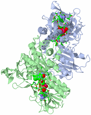 Image Asym./Biol. Unit - sites