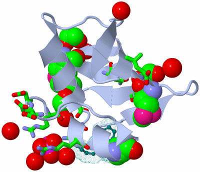 Image Asym./Biol. Unit - sites