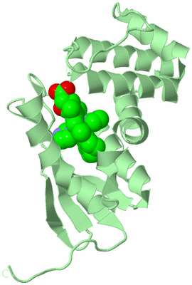 Image Biological Unit 2