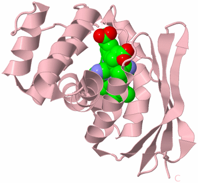 Image Biological Unit 3