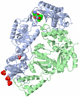 Image Asym./Biol. Unit