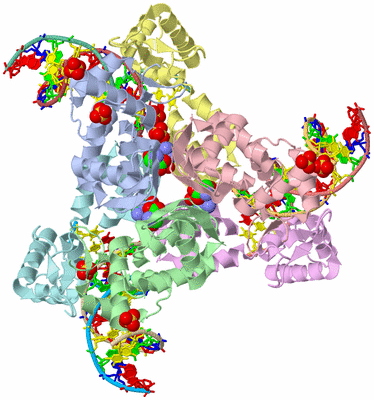 Image Asym./Biol. Unit