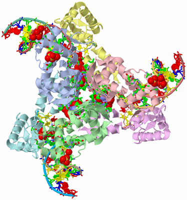 Image Asym./Biol. Unit - sites