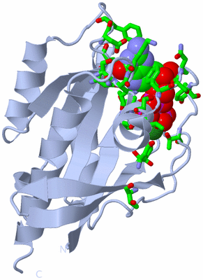 Image Biol. Unit 1 - sites