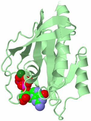 Image Biological Unit 2