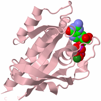 Image Biological Unit 3