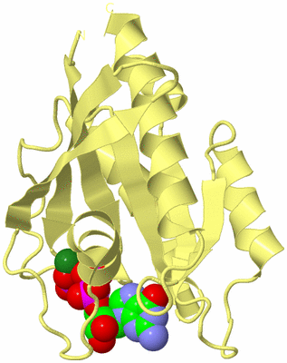 Image Biological Unit 4