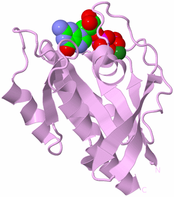 Image Biological Unit 5