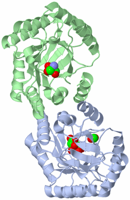 Image Asym./Biol. Unit