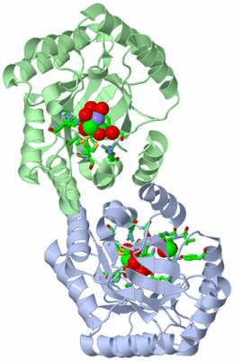 Image Asym./Biol. Unit - sites