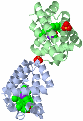 Image Biological Unit 2