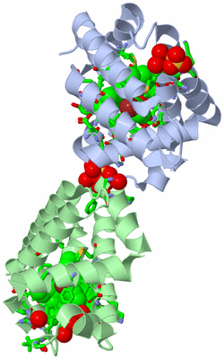 Image Biol. Unit 1 - sites