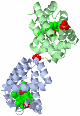 Image Biological Unit 2