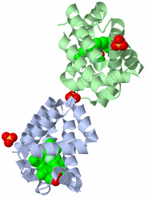 Image Biological Unit 2