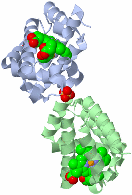 Image Biological Unit 1