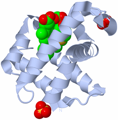 Image Biological Unit 2