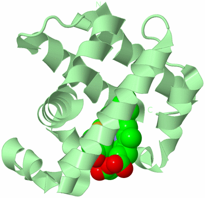 Image Biological Unit 3