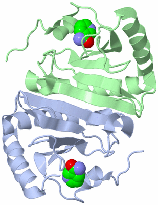 Image Biological Unit 1