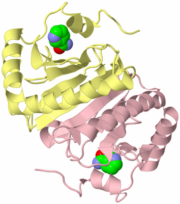 Image Biological Unit 2