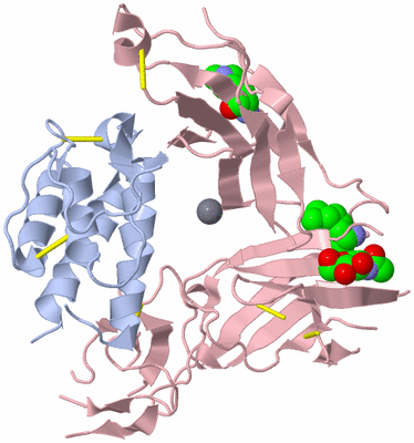 Image Biological Unit 1