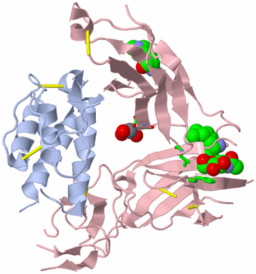 Image Biol. Unit 1 - sites