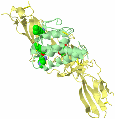 Image Biological Unit 2