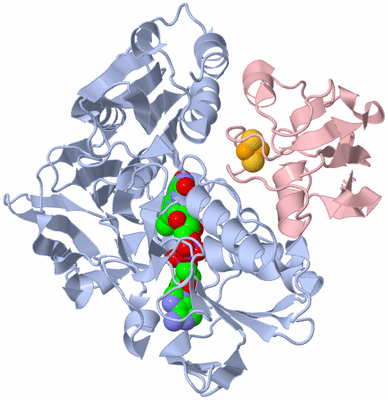 Image Biological Unit 1