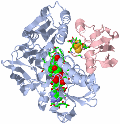 Image Biol. Unit 1 - sites