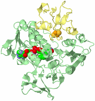 Image Biological Unit 2