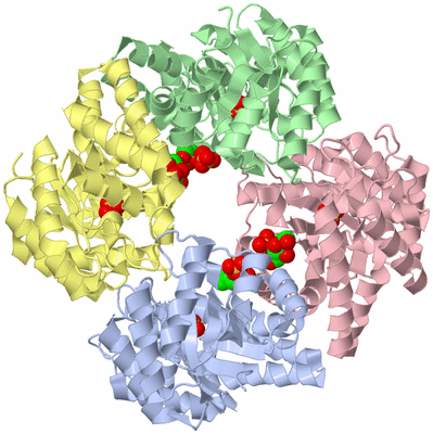 Image Asym./Biol. Unit