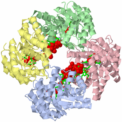 Image Asym./Biol. Unit - sites