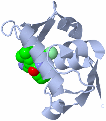 Image Biological Unit 1