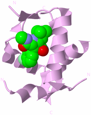 Image Biological Unit 3