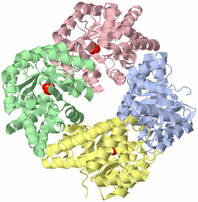 Image Asym./Biol. Unit