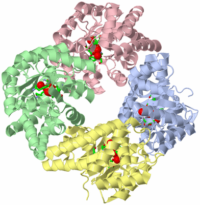 Image Asym./Biol. Unit - sites