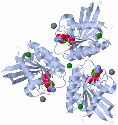 Image Biological Unit 2