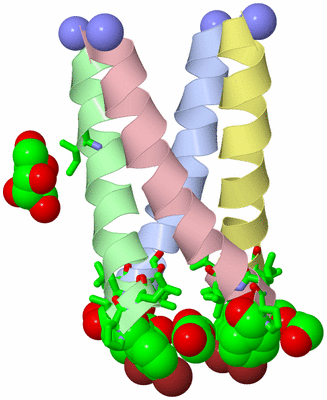 Image Asym./Biol. Unit - sites